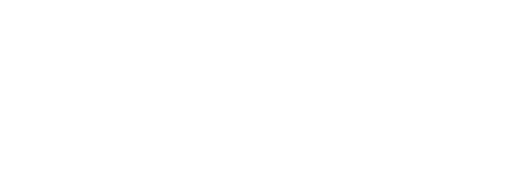 Professional supports